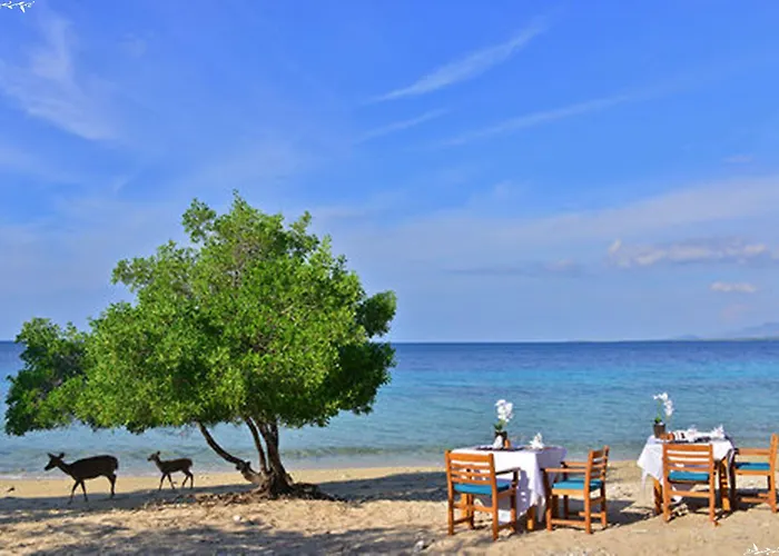 Station touristique Nusabay Menjangan